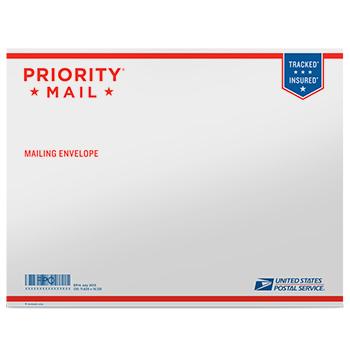 Priority Mail Tyvek Envelope 15 1/8" x 11 5/8", 10/pack